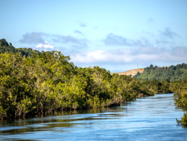 Hallazgo de cuerpo pone fin a operativo de búsqueda en el río Maullín
