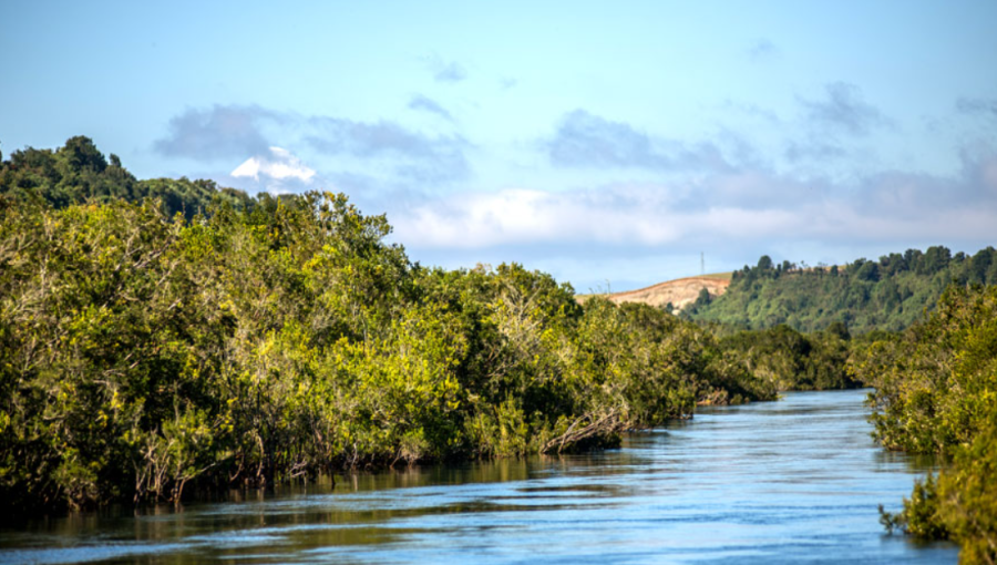 Hallazgo de cuerpo pone fin a operativo de búsqueda en el río Maullín