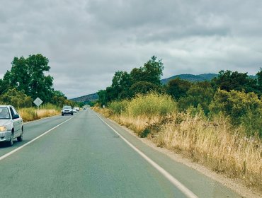 Alerta en Papudo: advierten que retrasos en la mantención de las principales rutas de la comuna eleva el riesgo de incendios forestales