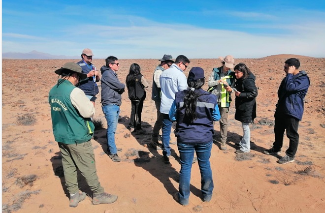 Aprobación ambiental de proyectos alcanza récord histórico de US$ 41.530 millones en 2025