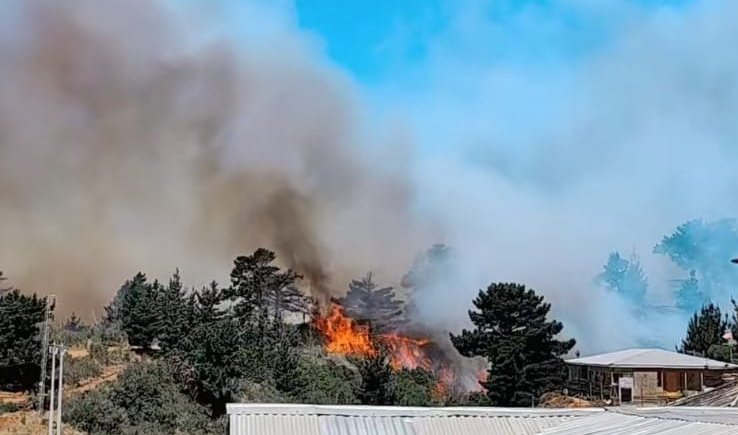 Senapred solicitó evacuar la parte baja de Camino Los Lobos en Laguna Verde por incendio forestal