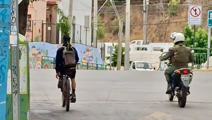 Surrealista registro en Valparaíso: motorista de Carabineros sorprende a ciclista transportando planta de marihuana en una mochila