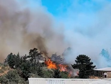 Senapred solicitó evacuar la parte baja de Camino Los Lobos en Laguna Verde por incendio forestal