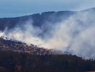 Cerca de 100 personas debieron ser evacuadas por incendio forestal que tuvo en vilo a sectores residenciales de Laguna Verde