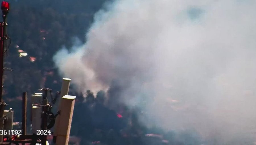 Senapred activa la Mensajería SAE y solicita evacuar sector de Laguna Verde en Valparaíso por incendio forestal
