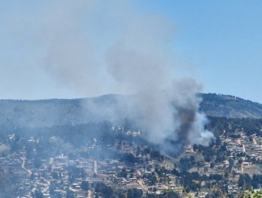 Declaran Alerta Roja para Valparaíso por incendio forestal en Laguna Verde que se desarrolla cercano a sectores habitados