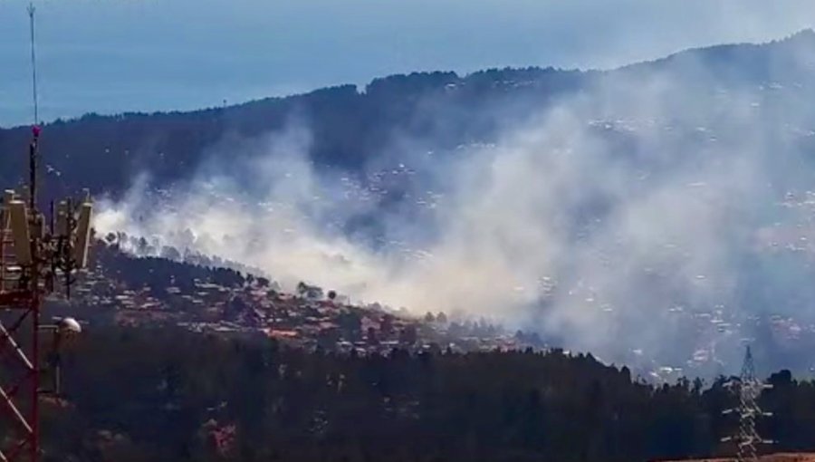 Cerca de 100 personas debieron ser evacuadas por incendio forestal que tuvo en vilo a sectores residenciales de Laguna Verde
