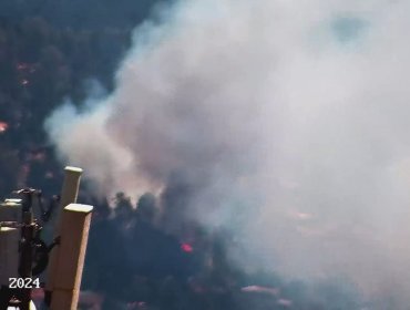 Senapred activa la Mensajería SAE y solicita evacuar sector de Laguna Verde en Valparaíso por incendio forestal