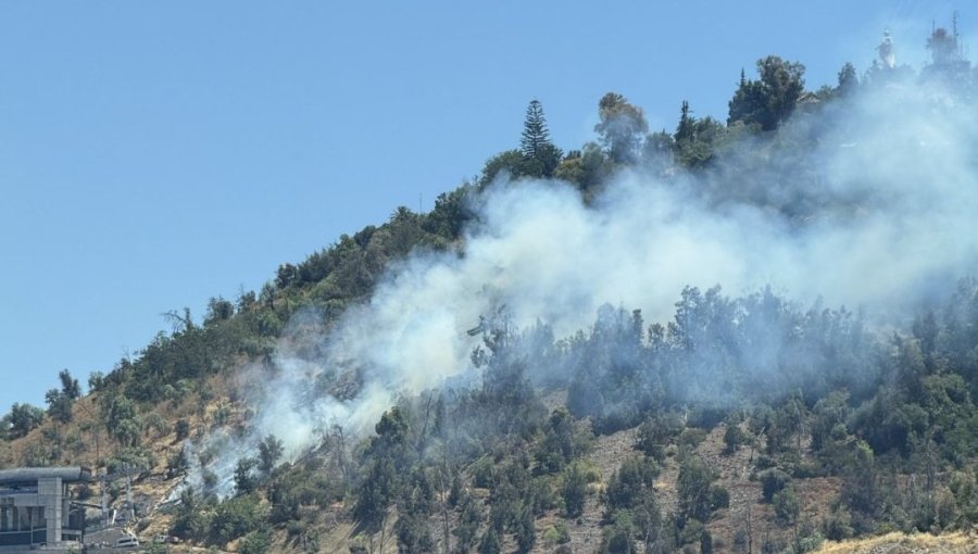 Incendio forestal afecta la ladera sur del Parque Metropolitano en el cerro San Cristóbal