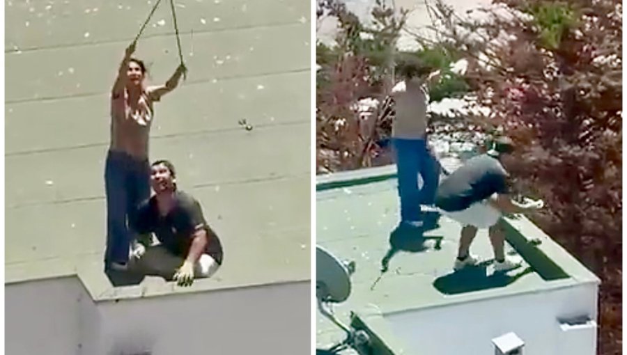 Indignación en Maitencillo por brutal acto de maltrato animal contra polluelos de gaviota: pareja fue detenida por Carabineros