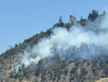 Incendio forestal afecta la ladera sur del Parque Metropolitano en el cerro San Cristóbal