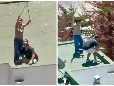 Indignación en Maitencillo por brutal acto de maltrato animal contra polluelos de gaviota: pareja fue detenida por Carabineros