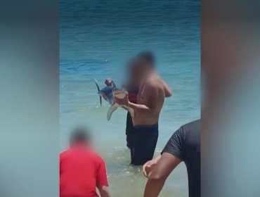 Indignación por veraneantes que se llevaron a tiburón tras tomarse selfies en playa de El Quisco: anuncian acciones legales