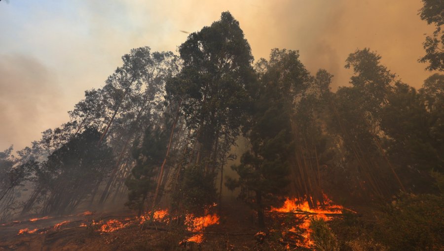 Declaran Alerta Temprana Preventiva para la región Metropolitana por amenaza de incendios forestales