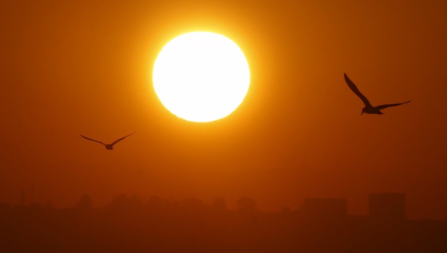 Dirección Meteorológica advierte sobre altas temperaturas máximas en la región de Valparaíso: se pronostican hasta 37 grados