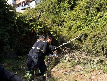 63.000 metros cuadrados de cerros y quebradas han sido despejados con el retiro de 408 toneladas de desechos en Valparaíso