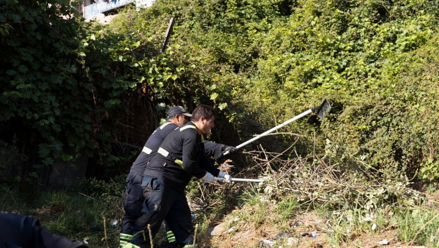 63.000 metros cuadrados de cerros y quebradas han sido despejados con el retiro de 408 toneladas de desechos en Valparaíso