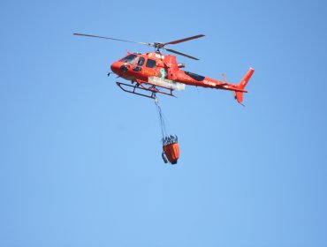 Región de La Araucanía: Incendio forestal obliga a cerrar ruta entre Chol Chol y Galvarino