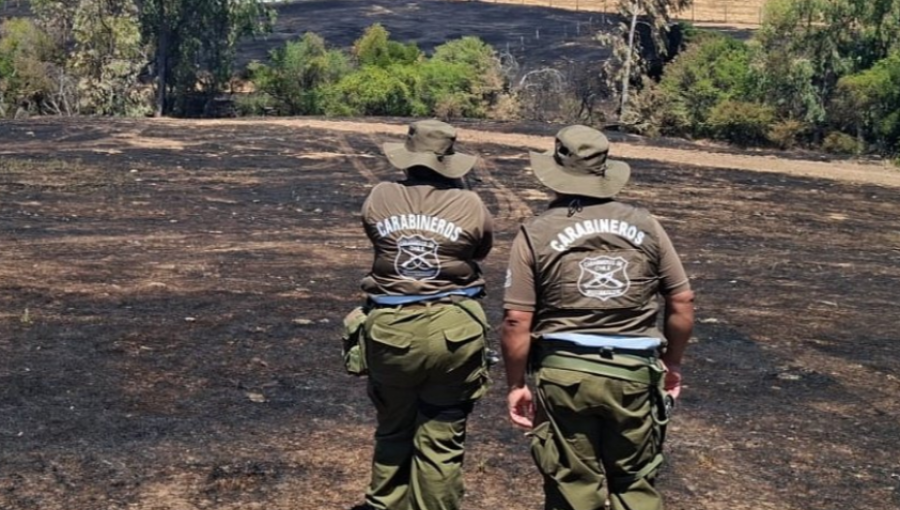 Exbrigadista de Conaf seguirá detenido por presunta autoría de incendio forestal en Coronel