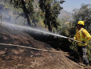 Conaf monitorea complejo incendio al interior de la Reserva Nacional Ñuble