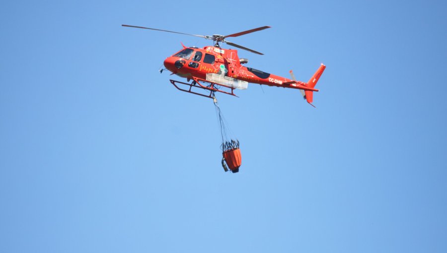 Región de La Araucanía: Incendio forestal obliga a cerrar ruta entre Chol Chol y Galvarino