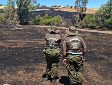 Exbrigadista de Conaf seguirá detenido por presunta autoría de incendio forestal en Coronel
