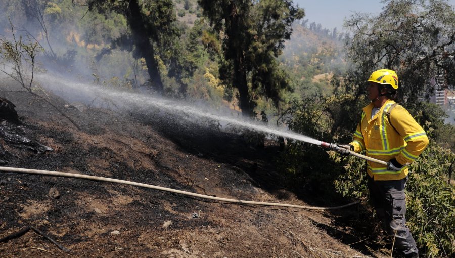 Conaf monitorea complejo incendio al interior de la Reserva Nacional Ñuble