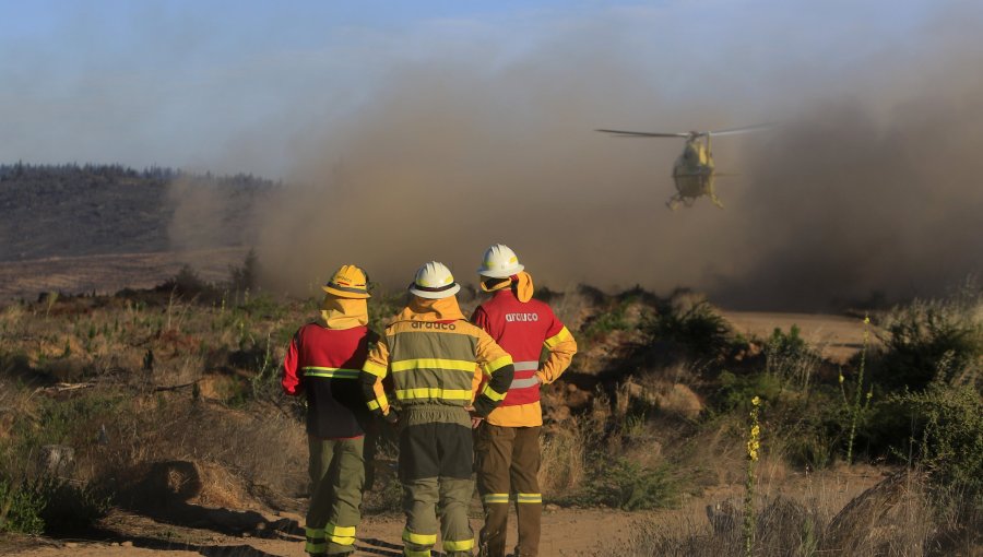 Incendio forestal en Cauquenes deja al menos 13 viviendas afectadas y más de 400 hectáreas consumidas