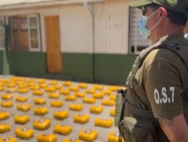 Detienen a sujeto que transportaba en un vehículo cerca de 187 kilos marihuana en Paine