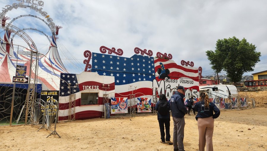 Fiscalizan circo en Viña del Mar para reforzar la seguridad eléctrica en temporada estival