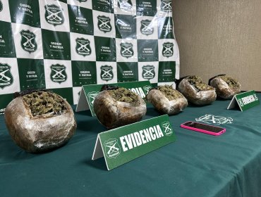 Incautan casi 6 kilos de marihuana desde la maleta de una pasajera de bus en Nogales