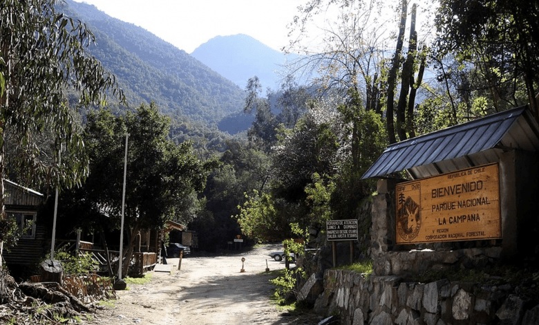 Contraloría detecta que más de 400 construcciones irregulares colindan con el Parque Nacional La Campana