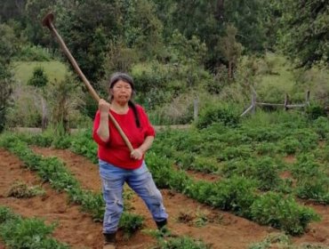 Encuentran carnet de Julia Chuñil en el domicilio de uno de sus hijos en Temuco