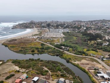Diario Oficial publica reconocimiento del Humedal Urbano Estuario Los Molles de La Ligua