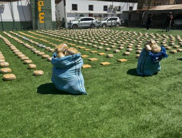 En prisión preventiva quedaron dos sujetos que transportaban 719 kilos de drogas a bordo de un camión en Chañaral