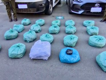 Golpe al narcotráfico en La Ligua: caen cuatro sujetos e incautan 22 kilos de marihuana