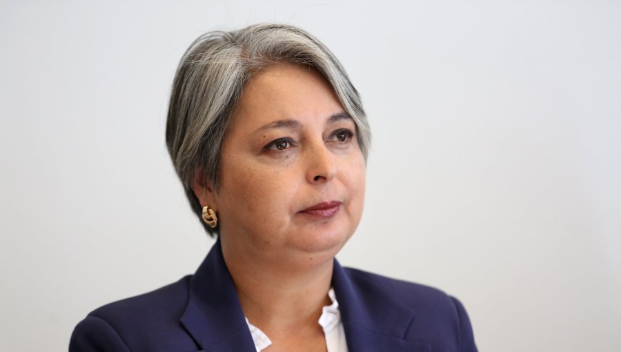 Jara evita polemizar con Boric por caso de Julia Chuñil: "No voy a dar consejos al Presidente"