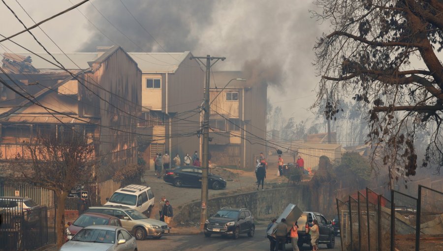 Emergencia por incendios forestales: anuncian toque de queda en la Región del Biobío