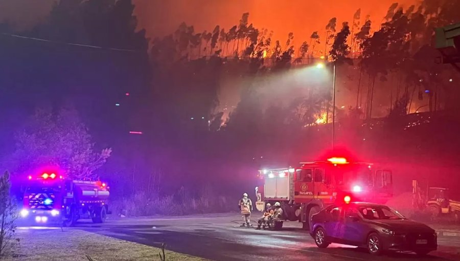 Incendio en Concepción: Conaf reporta más de 5 mil hectáreas destruidas