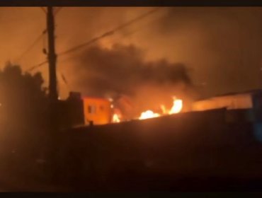 Tragedia en Lirquén: incendio forestal destruye casi por completo la Villa Italia