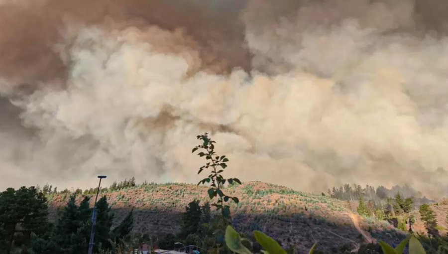 Emergencia forestal cobra nueva víctima: adulto mayor muere en Bulnes