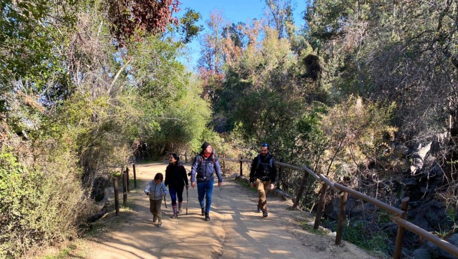 Conaf cierra Parque Nacional La Campana por ola de calor: se esperan hasta 36°C