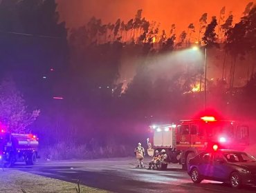 Incendio en Concepción: Conaf reporta más de 5 mil hectáreas destruidas