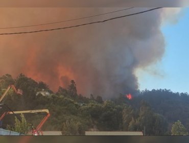 Emergencia en el Biobío: Senapred decreta evacuaciones por incendio descontrolado