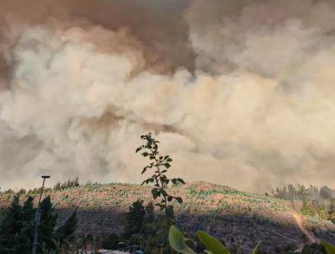 Emergencia forestal cobra nueva víctima: adulto mayor muere en Bulnes