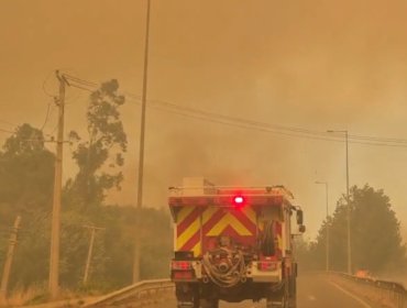 Presidente Boric viaja a Concepción por incendios forestales y suspende actividades oficiales