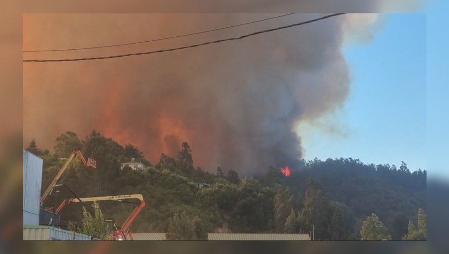 Emergencia en el Biobío: Senapred decreta evacuaciones por incendio descontrolado