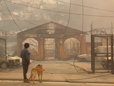 Empresas de telecomunicaciones liberan servicios por incendios en las Regiones de Ñuble y Biobío