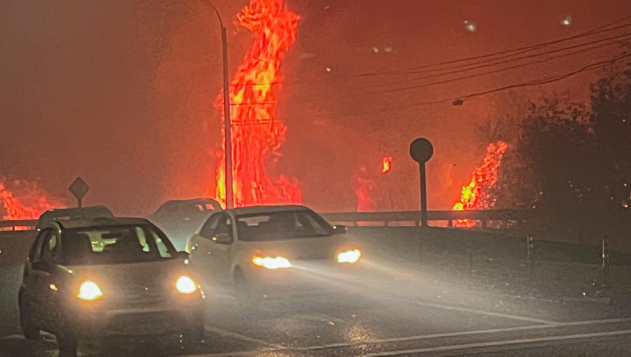 Más de 18 mil hectáreas quemadas y 16 fallecidos dejan incendios en la Región del Biobío