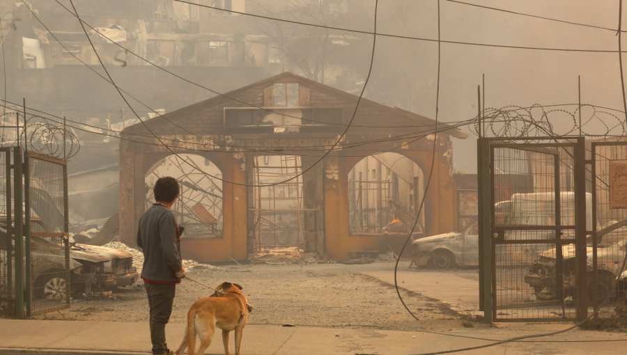 Empresas de telecomunicaciones liberan servicios por incendios en las Regiones de Ñuble y Biobío